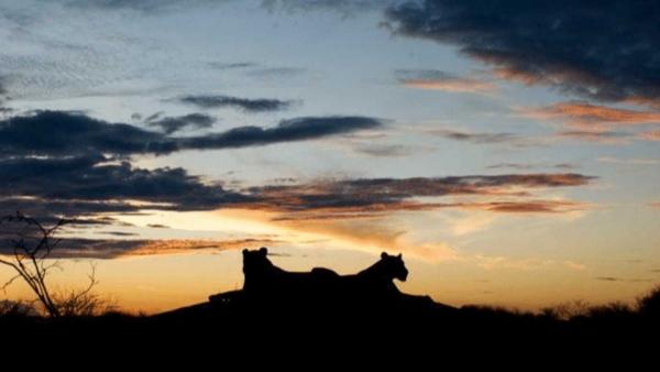 Expedição Essencial - Botswana, Delta do Okavango e Victoria Falls - 10 dias