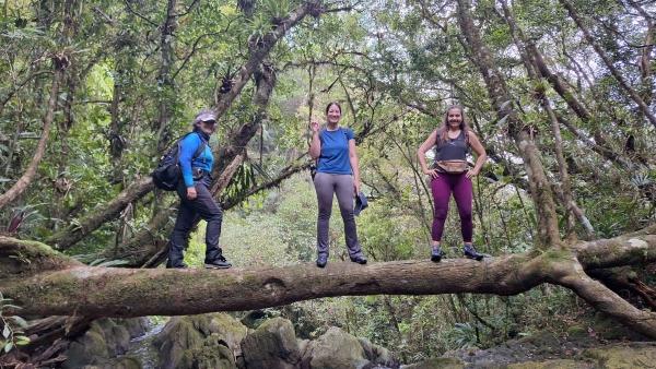 Viagem para Cachoeira do Camburi com saída de São Paulo - 1 dia