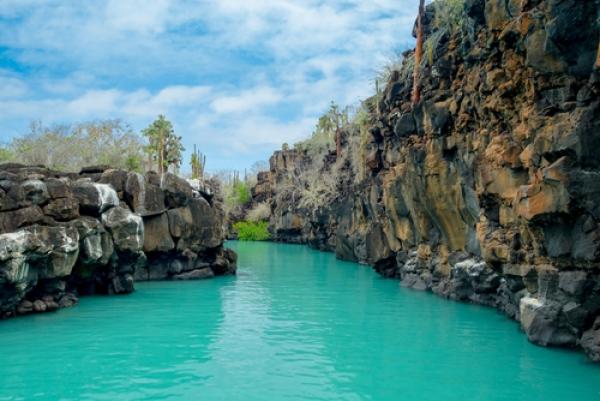 Feriado de Réveillon - Descobrindo Quito e as Maravilhas das Ilhas Galápagos com Tortuga Bay - 9 dias
