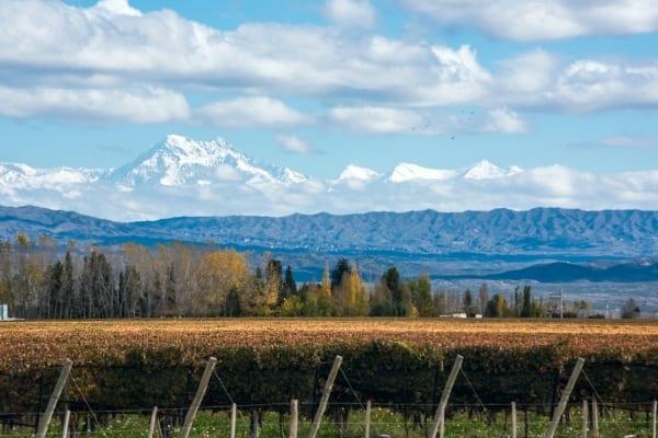 Pacote de Experiências e Natureza com O melhor de Mendoza - 5 dias