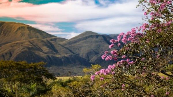Minas Incrível: Capitólio e Serra da Canastra com Saída de Belo Horizonte - 4 dias